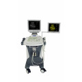 Trolley-Ultraschall-Maschine des heißen Verkaufs Qualitäts-Trolleys höchster Qualität